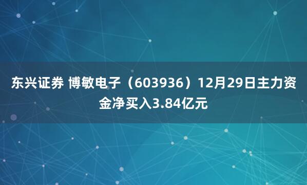 东兴证券 博敏电子（603936）12月29日主力资金净买入3.84亿元