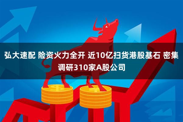 弘大速配 险资火力全开 近10亿扫货港股基石 密集调研310家A股公司